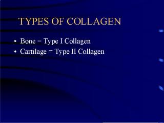 slide 2 types of collagen.jpg (7152 bytes)