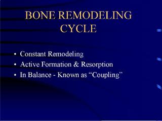 slide 3 bone remodeling.jpg (9892 bytes)