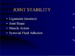 slide1 joint stability.jpg (7713 bytes)