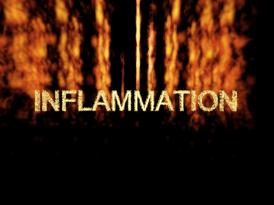 Copy of Title Inflammation.jpg (8575 bytes)